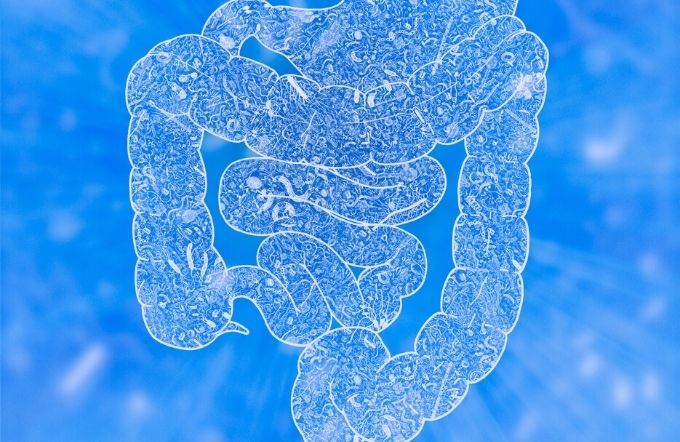 La importancia de cuidar la microbiota